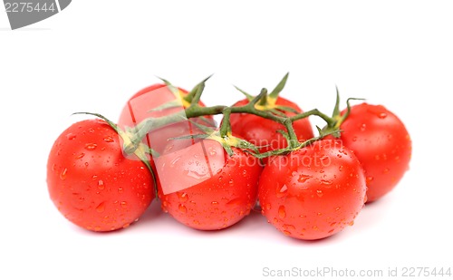 Image of Cluster of Tomatoes