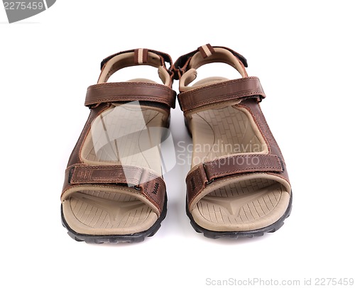 Image of A sport brown sandals