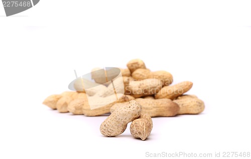 Image of Two peanuts