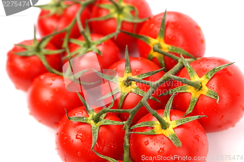 Image of A Big Cluster of Tomatoes