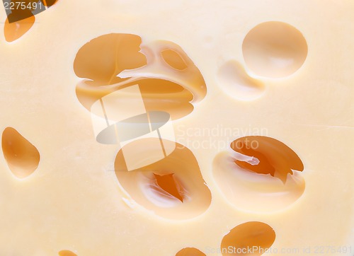 Image of Close up cheese with holes