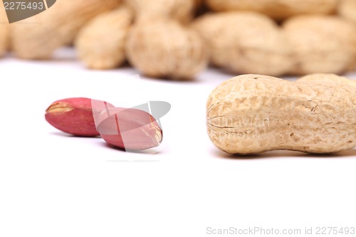 Image of Two peanut kernels and peanut close-up