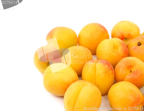 Image of A lot of fresh apricots