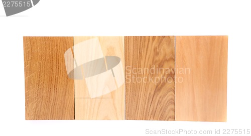 Image of Top four boards (oak, eim, acacia, lime)