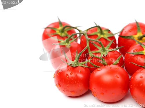 Image of Cluster of cherry tomatoes