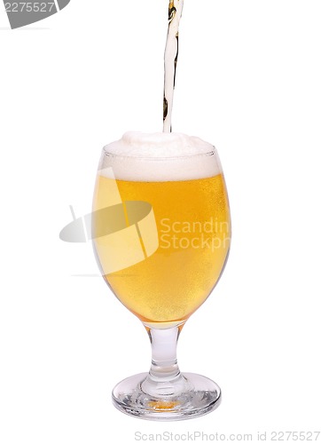 Image of Beer glass of light beer stream