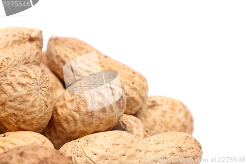 Image of Frame close-up of some peanuts.