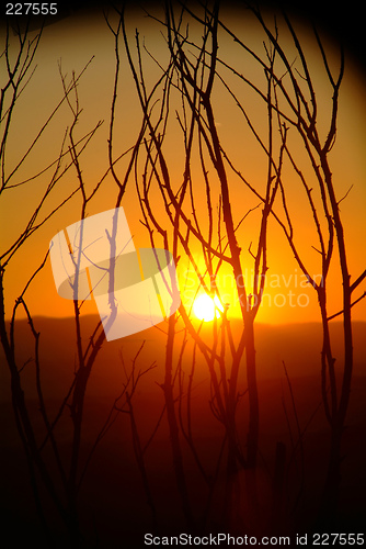 Image of sunset