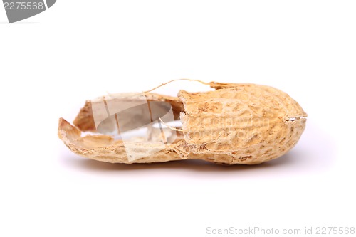 Image of A peel of peanut close-up