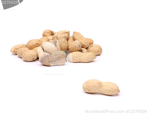 Image of A peanut and a hill of peanuts