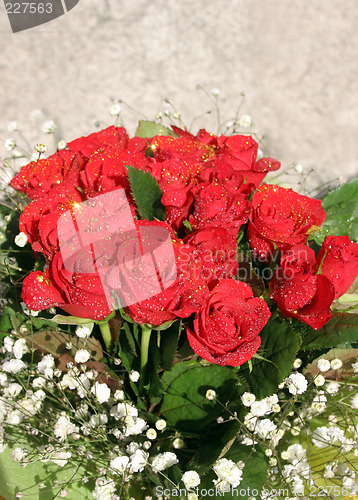 Image of Red roses