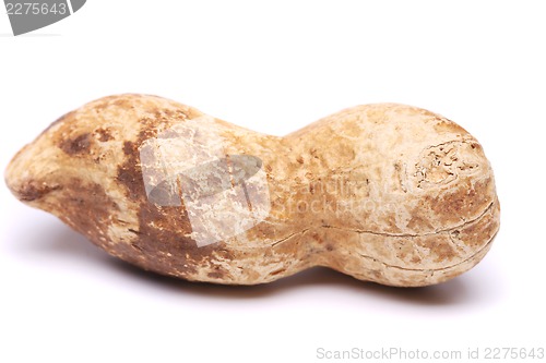 Image of A dark pod of peanuts