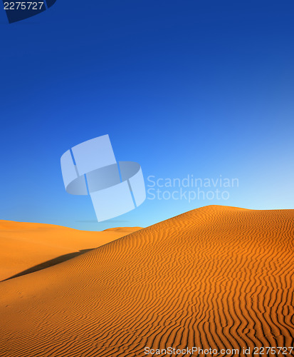 Image of evening desert