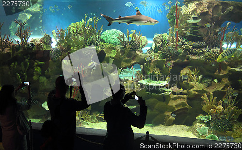 Image of people shooting in oceanarium