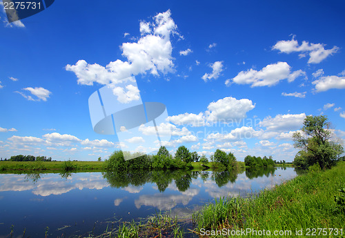 Image of beautiful summer lake landscape