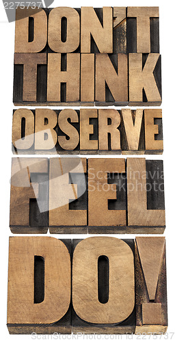 Image of observe, feel and do