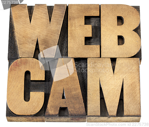 Image of webcam word in wood type