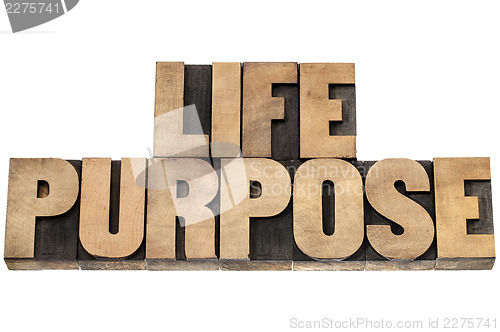 Image of life purpose in wood type