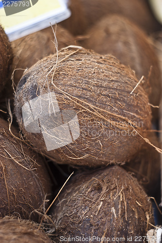 Image of fresh coconuts at local market