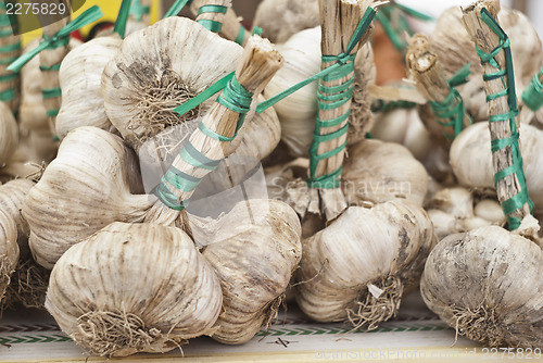 Image of fresh garlic for sale