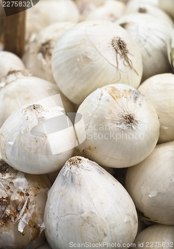 Image of Fresh white onions