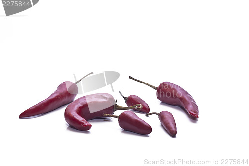 Image of Fresh red hot chili peppers