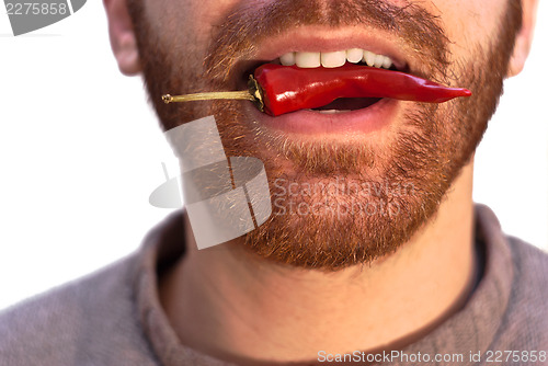 Image of man with a red hot chili pepper in his mouth