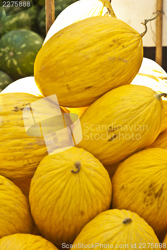 Image of yellow melons for sale