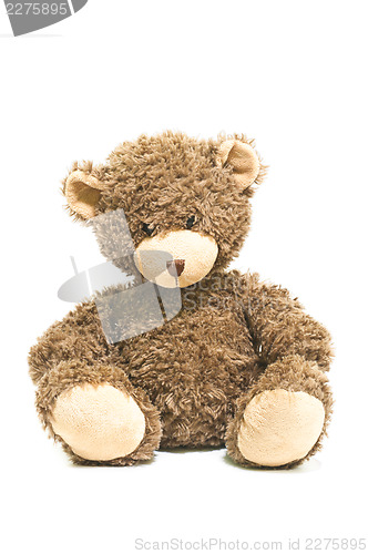 Image of Teddy Bear