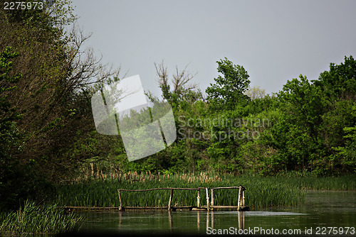 Image of Forest River