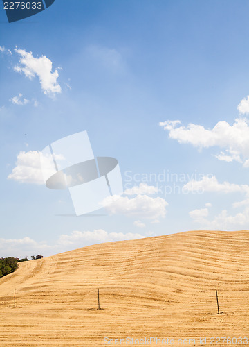 Image of Country in Tuscany