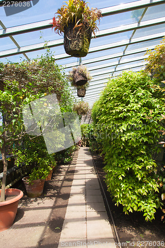 Image of Greenhouse interior
