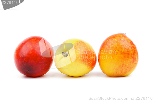 Image of Three Nectarines