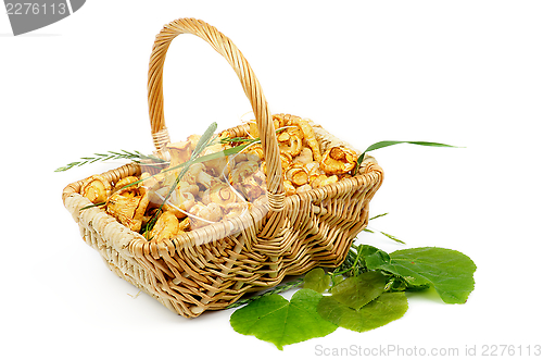 Image of Chanterelles