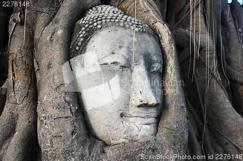 Image of Head of a historical Sandstone Buddha