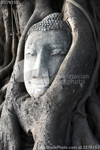 Image of Head of a historical Sandstone Buddha
