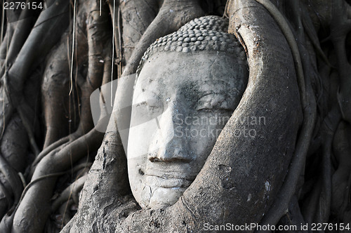 Image of Head of a historical Sandstone Buddha