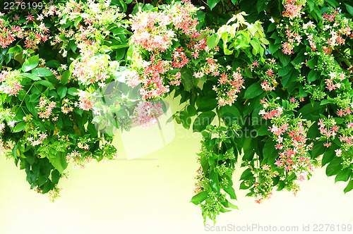 Image of Fresh flowers background. Sunshine. Spring background
