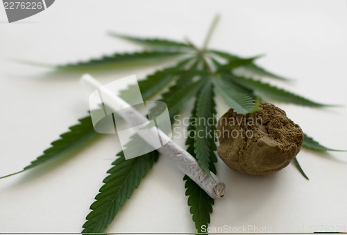 Image of Cannabis 