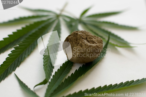 Image of Cannabis 