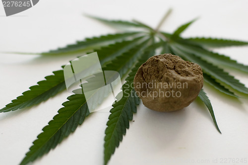 Image of Cannabis 