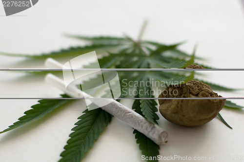 Image of Cannabis 