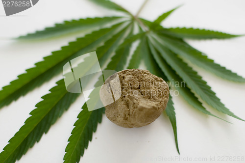 Image of Cannabis 