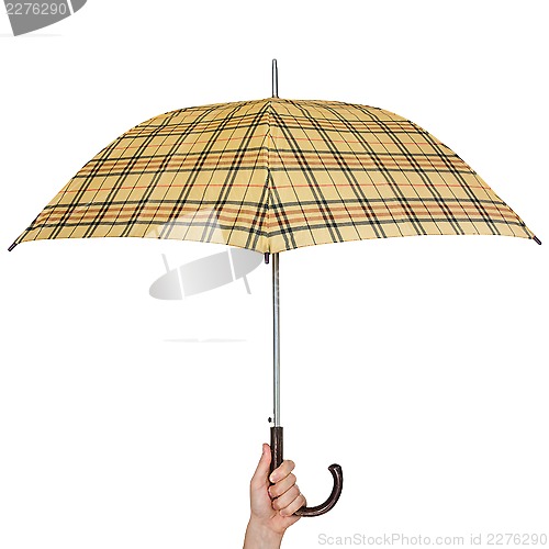 Image of Opened umbrella in hand