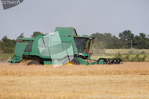 Image of Harvesting