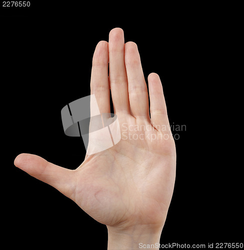 Image of White hand on black