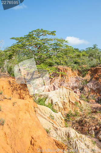 Image of Marafa Canyon - Kenya