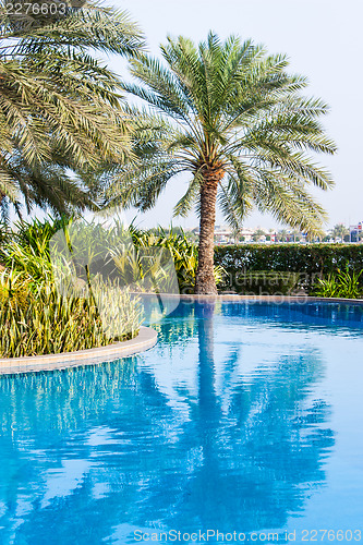 Image of Swimming pool detail