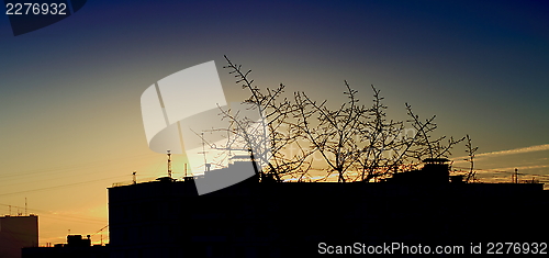 Image of  beautiful  sky