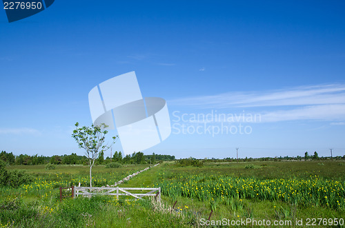 Image of Old wooden gate